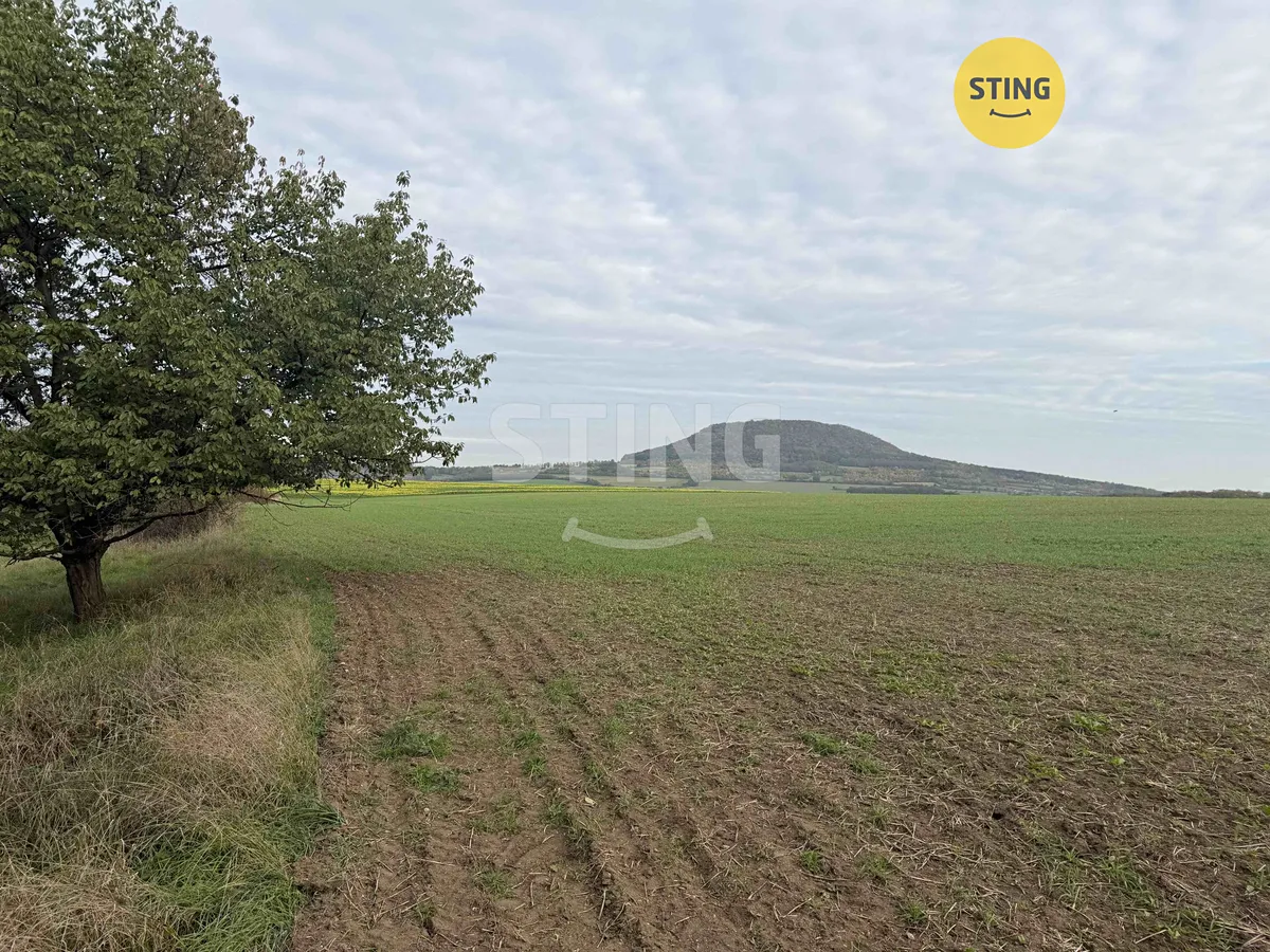 Prodej sadu, vinice 10074 m²